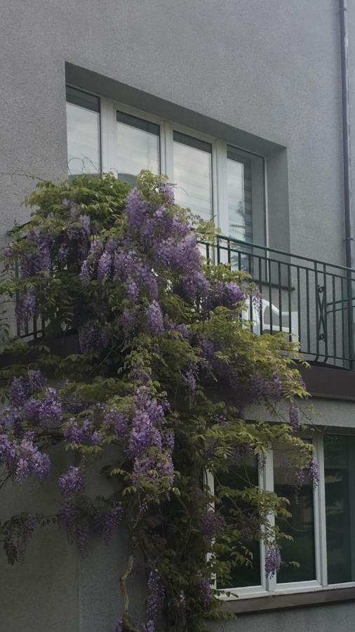 Willa Przy Plazy Gdynia Kamienna Gora Buitenkant foto